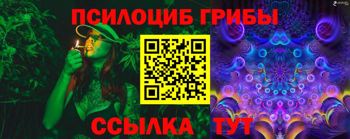 Псилоцибиновые грибы Cubensis Мичуринск