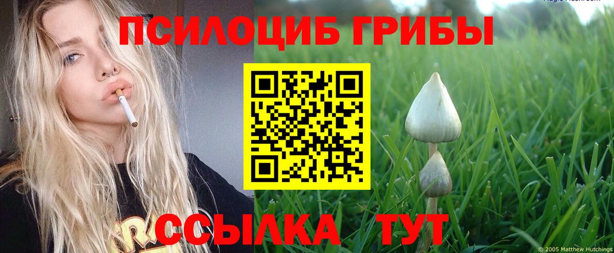 Псилоцибиновые грибы GOLDEN TEACHER  Галлюциногенные грибы Magic Shrooms  Мичуринск  Вход с VPN 